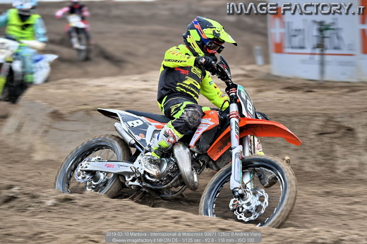 2019-02-10 Mantova - Internazionali di Motocross 00671 125cc 8 Andrea Viano